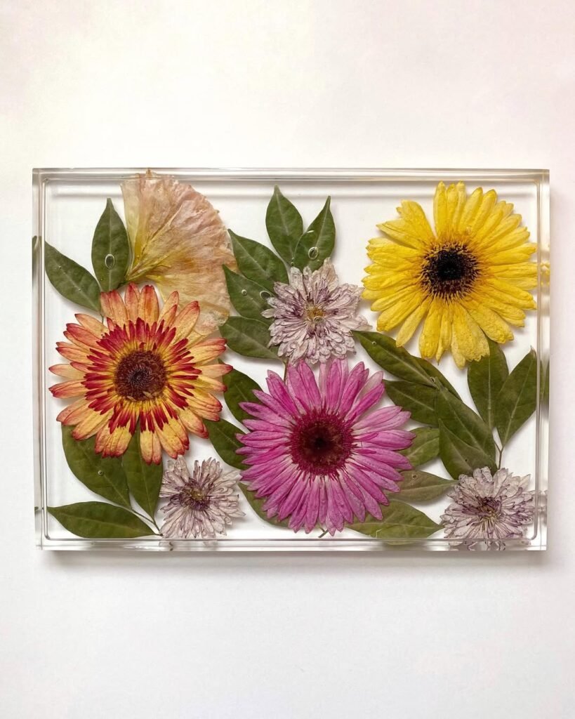Thesummeralcove - preserved flowers (10)