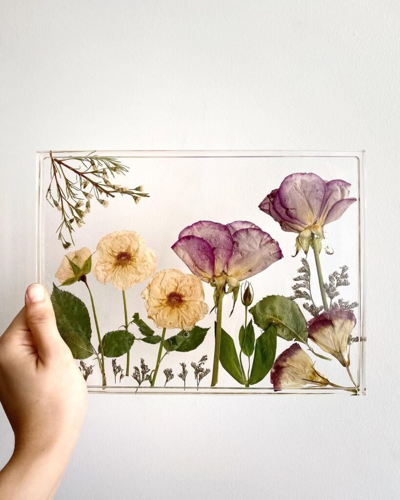 Thesummeralcove - preserved flowers (7)