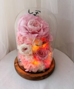 Pink Rose Glass Dome with Fairy Lights (Wooden Base)