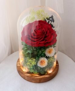 Red Rose Glass Dome with Fairy Lights (Wooden Base)