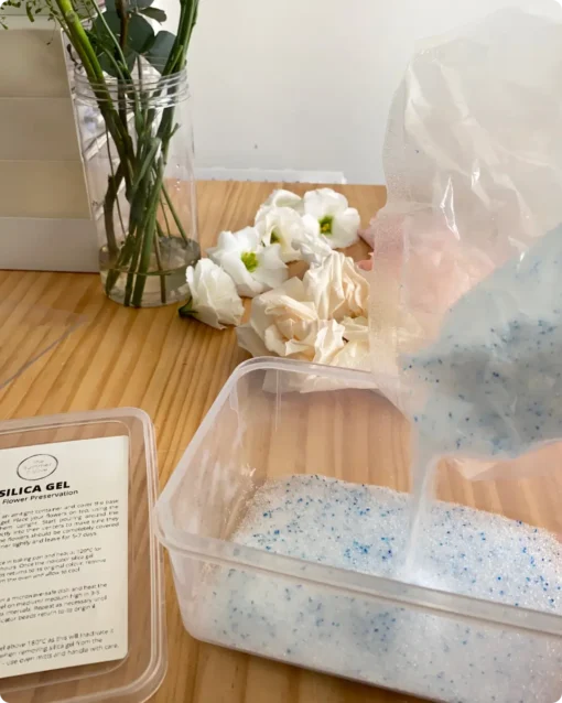 Step 1: Prepare a base layer of Silica Gel, about 1-2cm thick