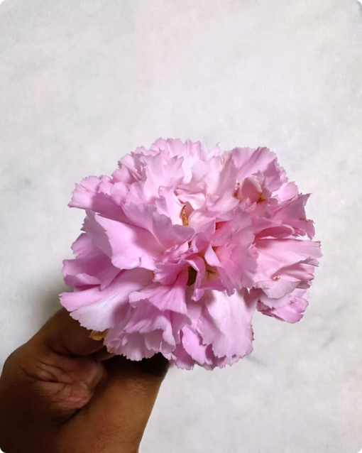 "Since I’m crafting at home, I feel way more comfortable using the premium silica gel with low dust :)" - Rasmeen