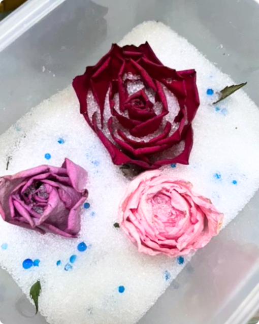 "Dried my flowers for 5 days to be exact and the outcome is beautiful. Thank you!" - Rachel