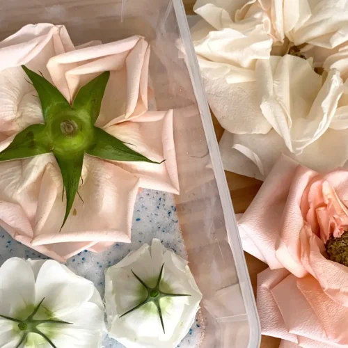 Step 2: Place your flowers onto the Silica Gel layer. (Optional: Consider cutting off the flower stems to fit more flowers inside)